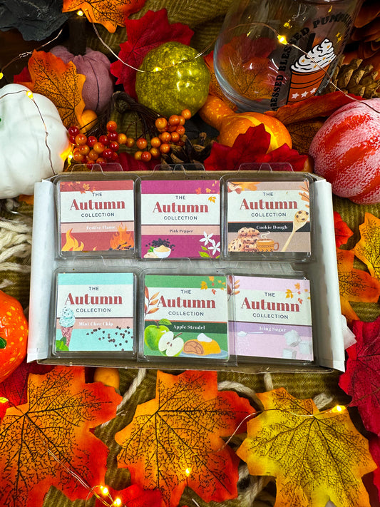 Sample Wax Melt Set- The Autumn Collection