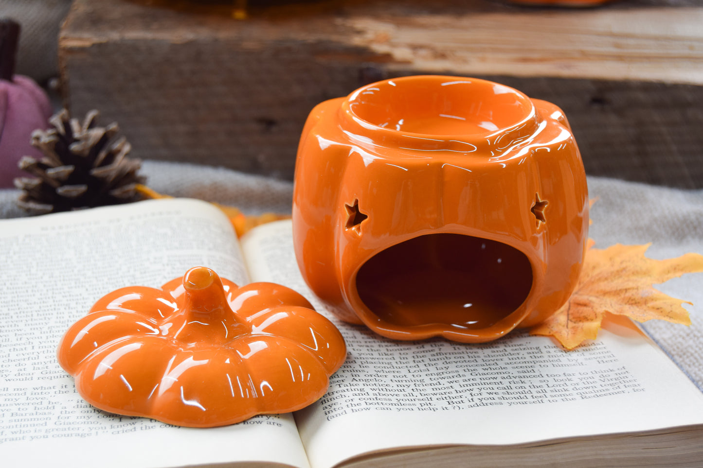 Orange Pumpkin Wax Burner