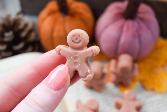 Gingerbread Minis (6) Wax Melts