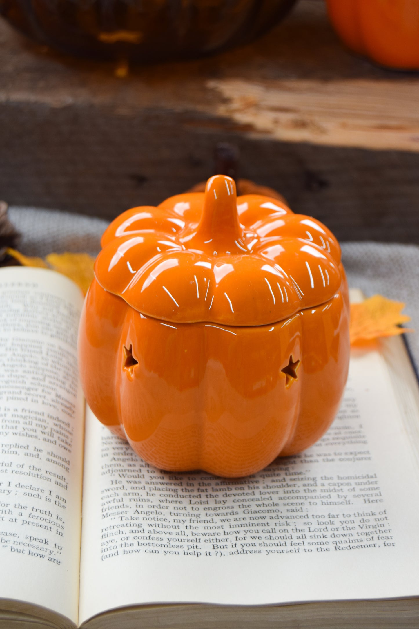 Orange Pumpkin Wax Burner