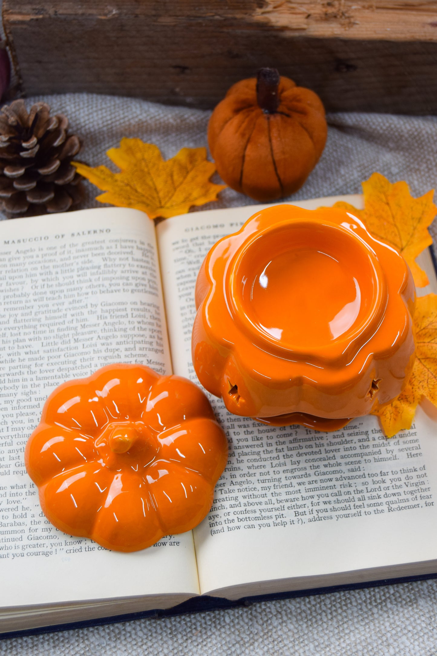 Orange Pumpkin Wax Burner