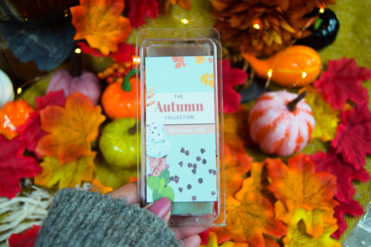 Mint Choc Chip Large Wax Melt Bar - The Autumn Collection