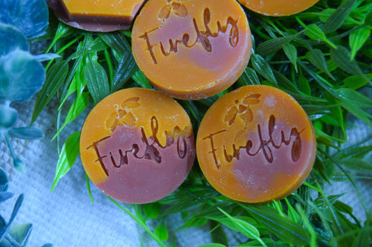 Orange + Cinnamon Mini Wax Melts (6)