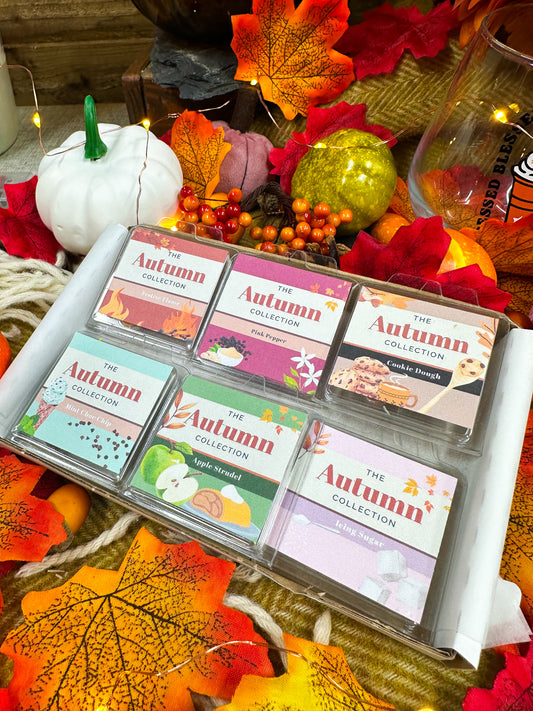Sample Wax Melt Set- The Autumn Collection