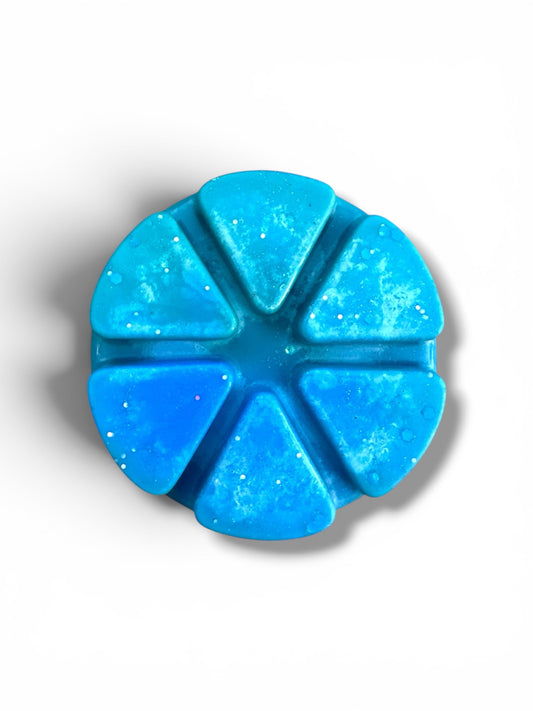 Blueberry Slush Summer Collection Wax Melt