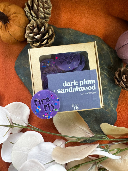 Dark Plum + Sandalwood Mini Wax Melts (10)